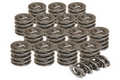 Triple Valve Springs